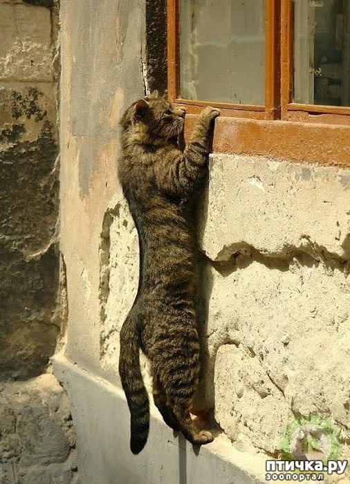 ���� 6: ������ ������ - ������ �����