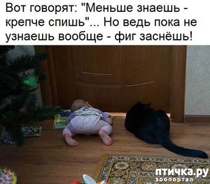 ����: ������ ������ - ������ �����