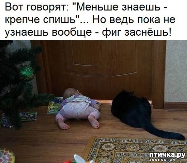 ���� 1: ������ ������ - ������ �����