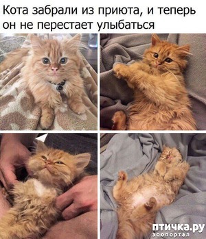 ����: ��������� ���