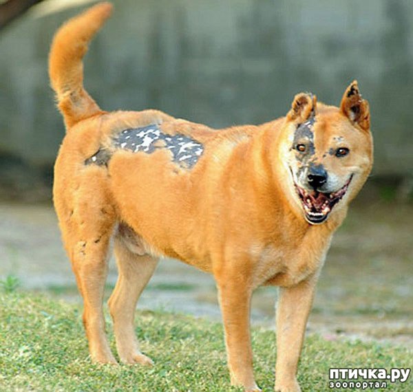 ���� 1: ��� ��� ���� ������� ������ ������