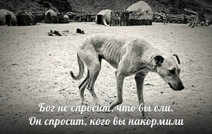 ����: ��� �������