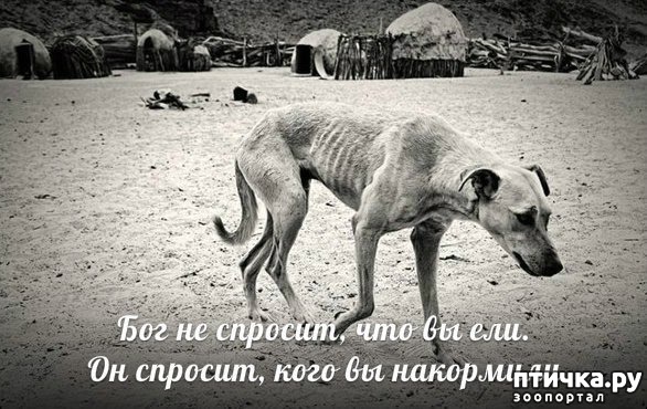 ���� 1: ��� �������