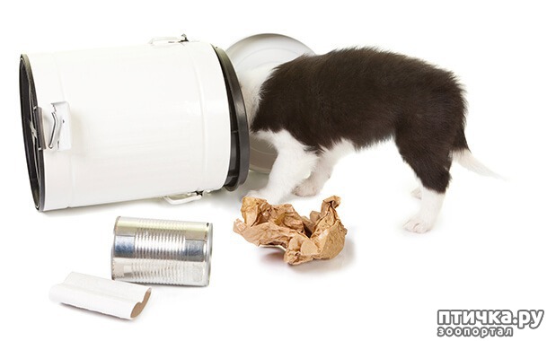 ���� 1: ������ ��������� �����