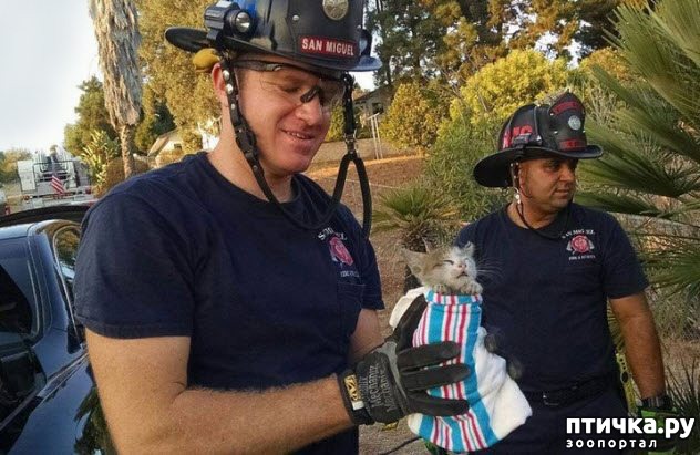 ���� 5: ������� �������, ������� �������� ��������� �� ����� �������� ����)