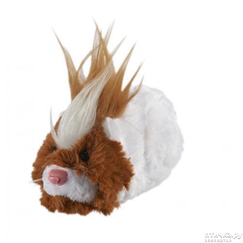 ���� 9: �����������: ������� ������� � �������� ������� � �� ������