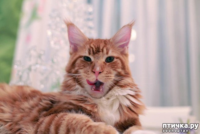 ���� 6: �����������: ������� ������� � �������� ������� � �� ������