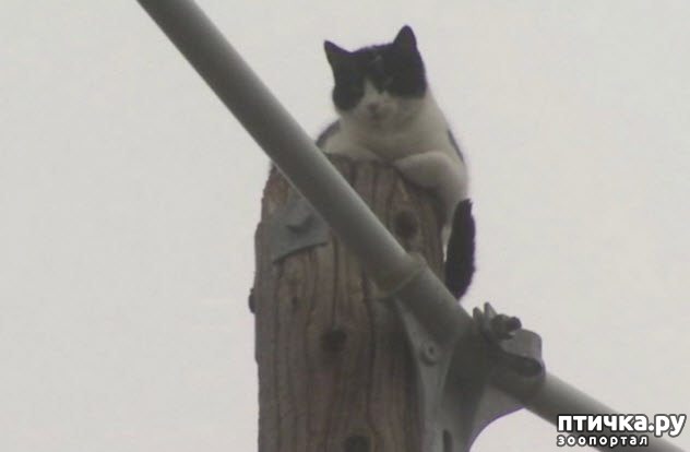 ���� 7: ������� �������, ������� �������� ��������� �� ����� �������� ����)