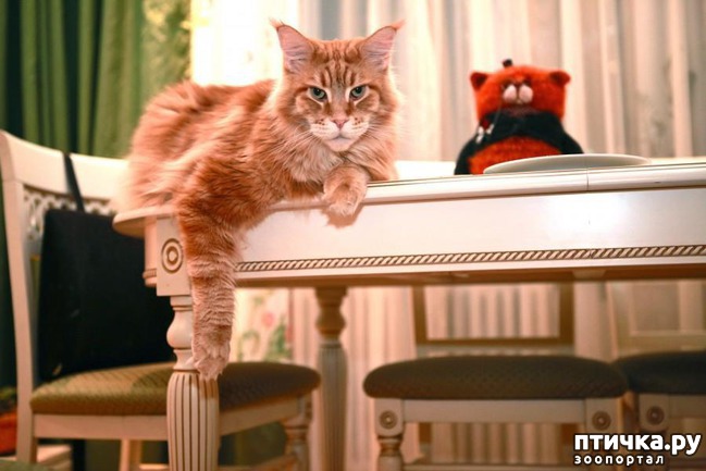 ���� 3: �����������: ������� ������� � �������� ������� � �� ������