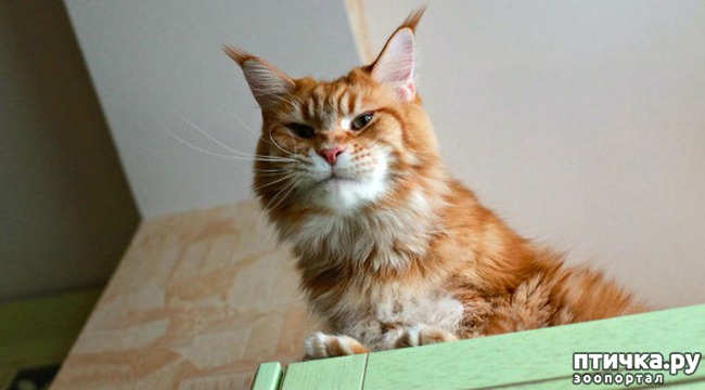 ���� 2: �����������: ������� ������� � �������� ������� � �� ������