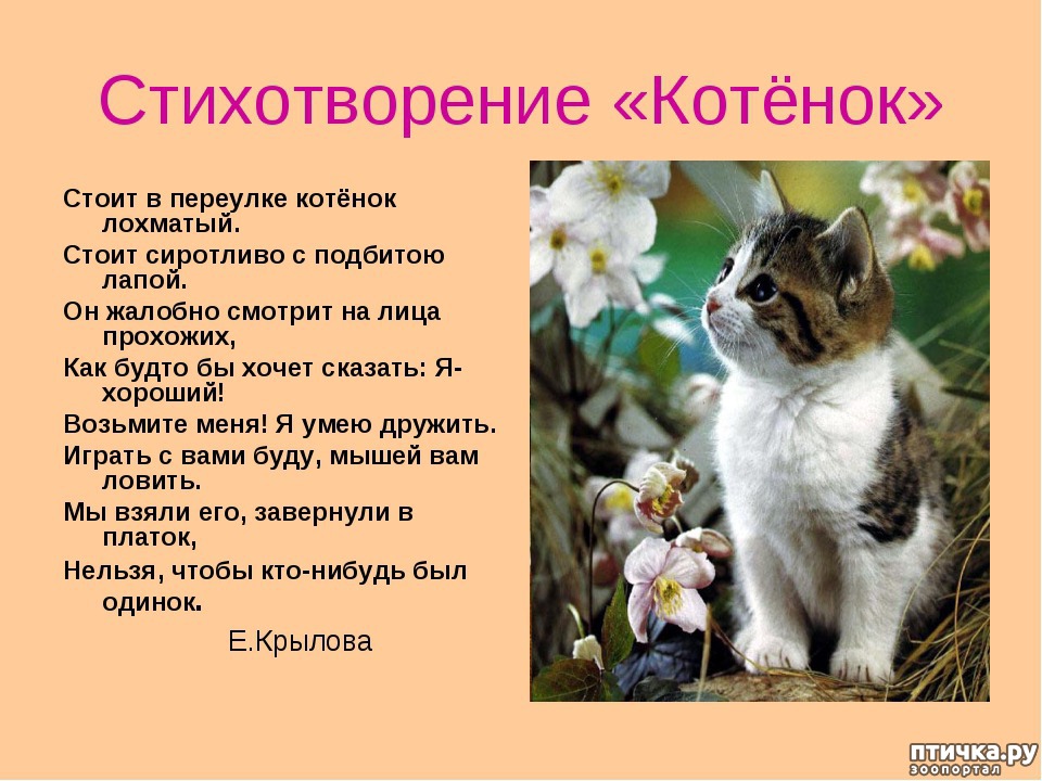 Литература 3 класс котенок