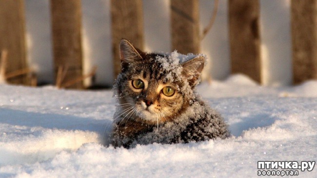 ���� 9: ������� �������, ������� �������� ��������� �� ����� �������� ����)