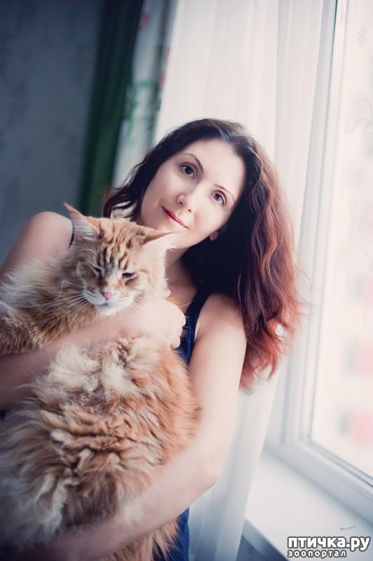 ���� 1: �����������: ������� ������� � �������� ������� � �� ������