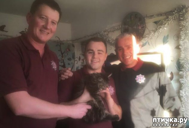 ���� 10: ������� �������, ������� �������� ��������� �� ����� �������� ����)