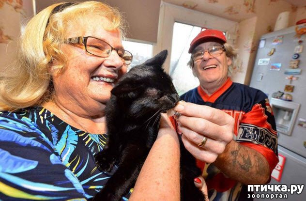 ���� 11: ������� �������, ������� �������� ��������� �� ����� �������� ����)