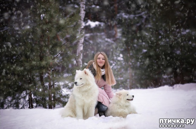 фото 5: Зимние прогулки в лесу.