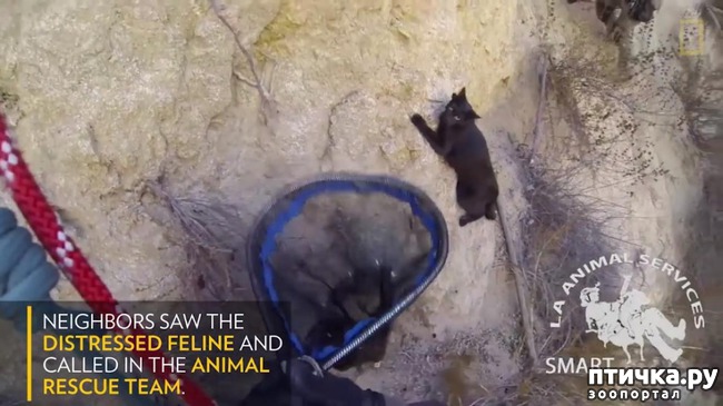 ���� 13: ������� �������, ������� �������� ��������� �� ����� �������� ����)