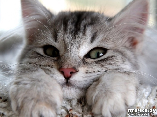 ���� 14: ������� �������, ������� �������� ��������� �� ����� �������� ����)