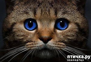 ����: ������� � ������