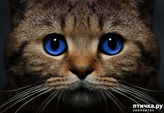 ���� 1: ������� � ������