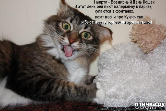 ���� 1: �����������: � ����������� ���� ��� ���������� �����.