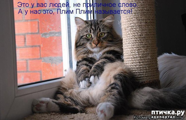 ���� 2: �����������: � ����������� ���� ��� ���������� �����.