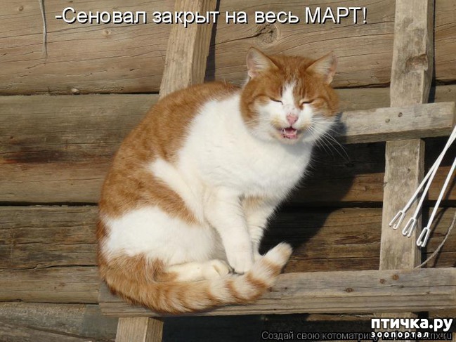 ���� 4: �����������: � ����������� ���� ��� ���������� �����.