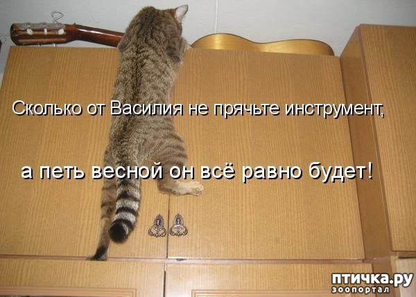 ���� 7: �����������: � ����������� ���� ��� ���������� �����.