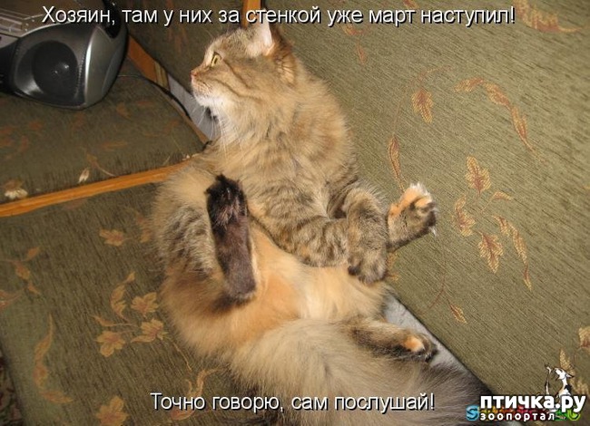 ���� 10: �����������: � ����������� ���� ��� ���������� �����.