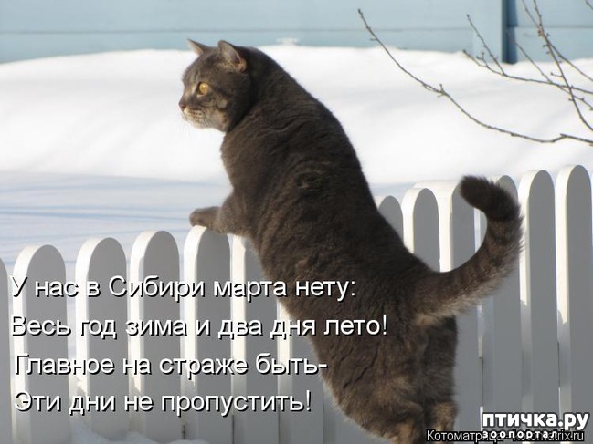 ���� 12: �����������: � ����������� ���� ��� ���������� �����.