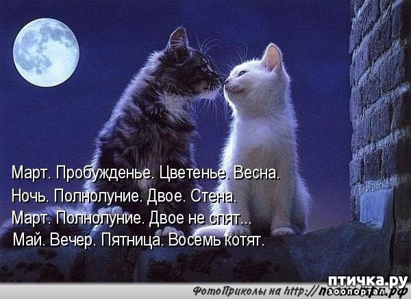 ���� 13: �����������: � ����������� ���� ��� ���������� �����.