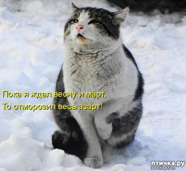 ���� 14: �����������: � ����������� ���� ��� ���������� �����.