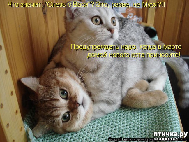 ���� 17: �����������: � ����������� ���� ��� ���������� �����.