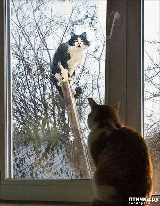 ���� 19: �����������: � ����������� ���� ��� ���������� �����.