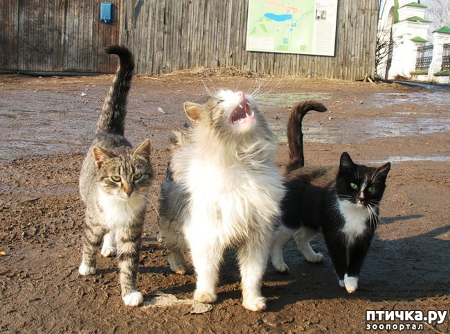 ���� 20: �����������: � ����������� ���� ��� ���������� �����.