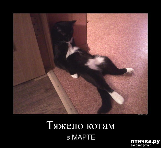 ���� 21: �����������: � ����������� ���� ��� ���������� �����.