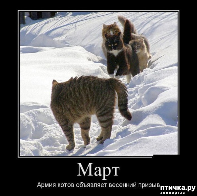 ���� 25: �����������: � ����������� ���� ��� ���������� �����.