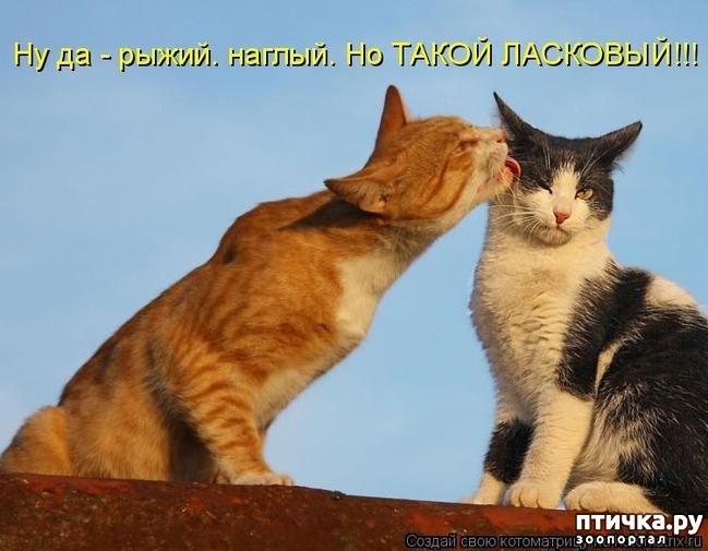 ���� 27: �����������: � ����������� ���� ��� ���������� �����.