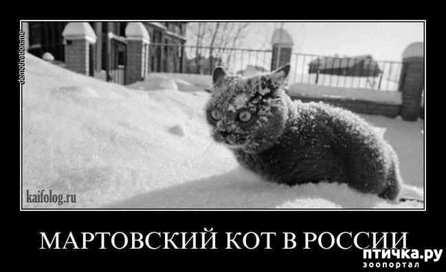 ���� 28: �����������: � ����������� ���� ��� ���������� �����.