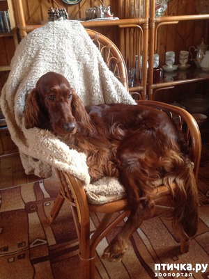 ����: ���������� ������� ������ - �������� �������!