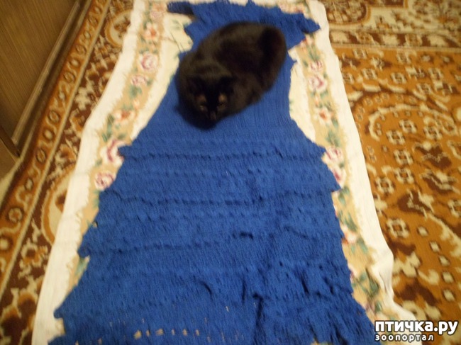 ���� 1: ���� - ������������ �����������)