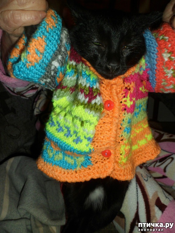 ���� 3: ���� - ������������ �����������)