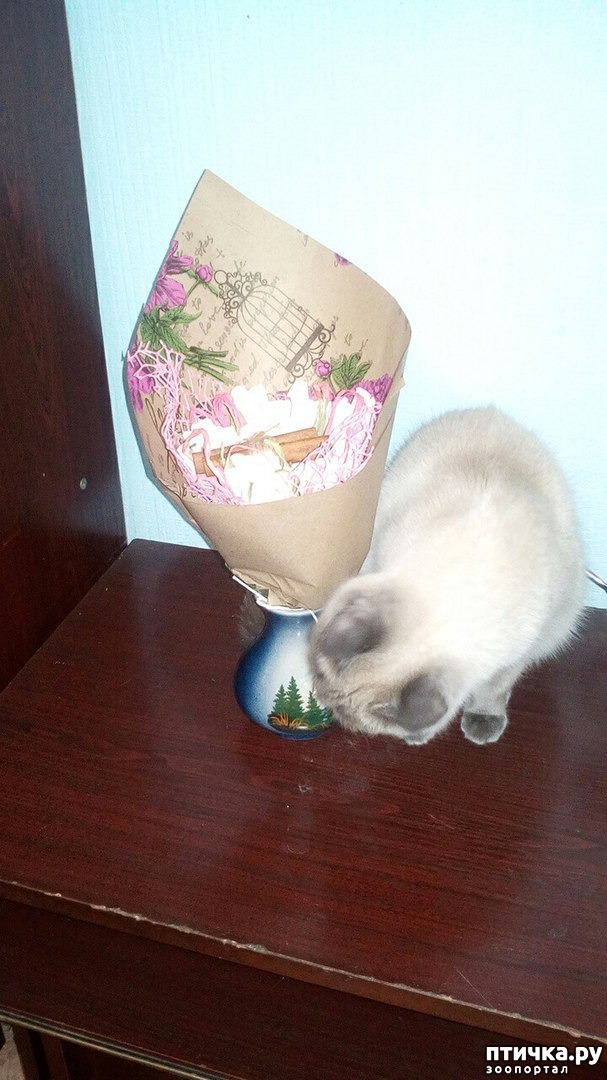 ���� 3: �������� �� �������