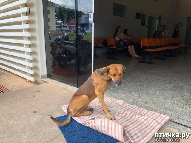 ���� 2: ��� �� �� �����������?