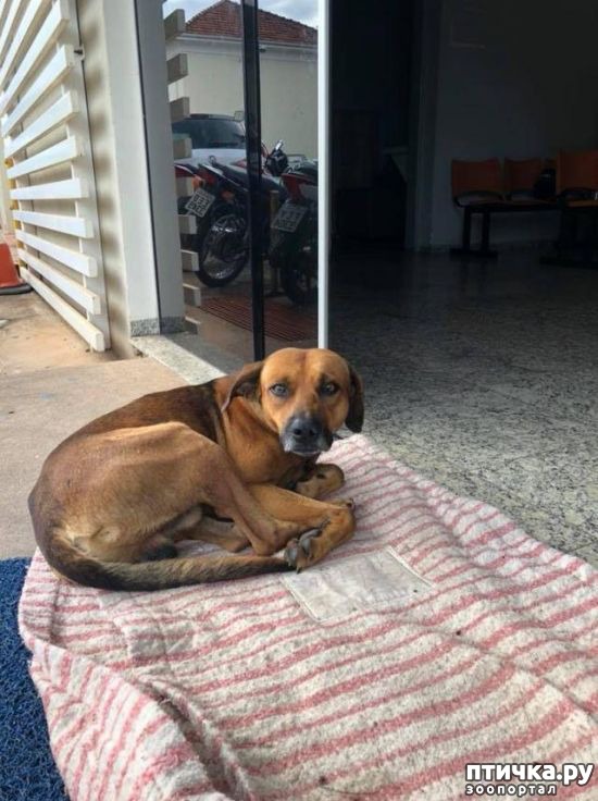 ���� 3: ��� �� �� �����������?