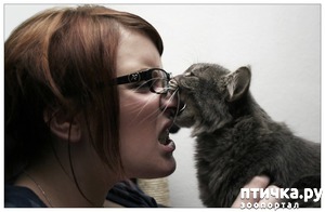 ����: � ����� ������ �������...