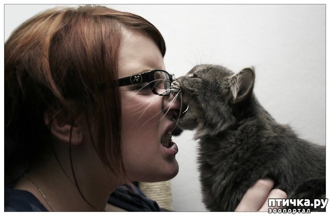 ���� 1: � ����� ������ �������...