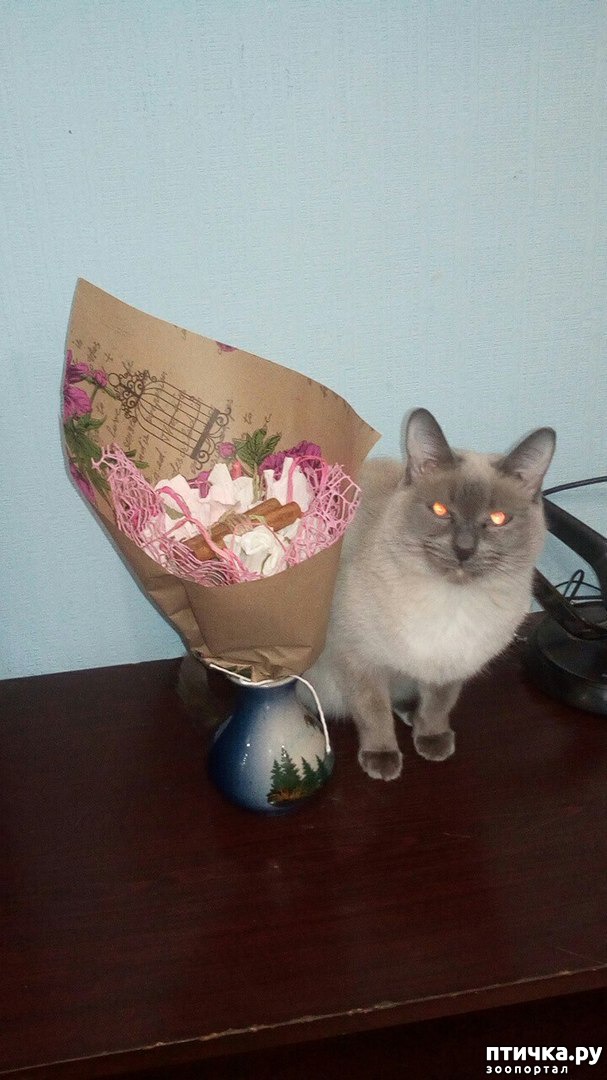 ���� 4: �������� �� �������