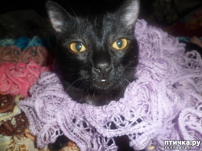 ���� 5: ���� - ������������ �����������)