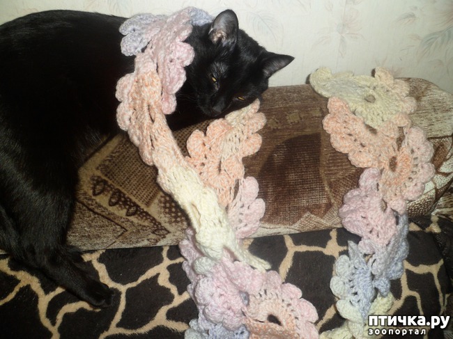 ���� 6: ���� - ������������ �����������)